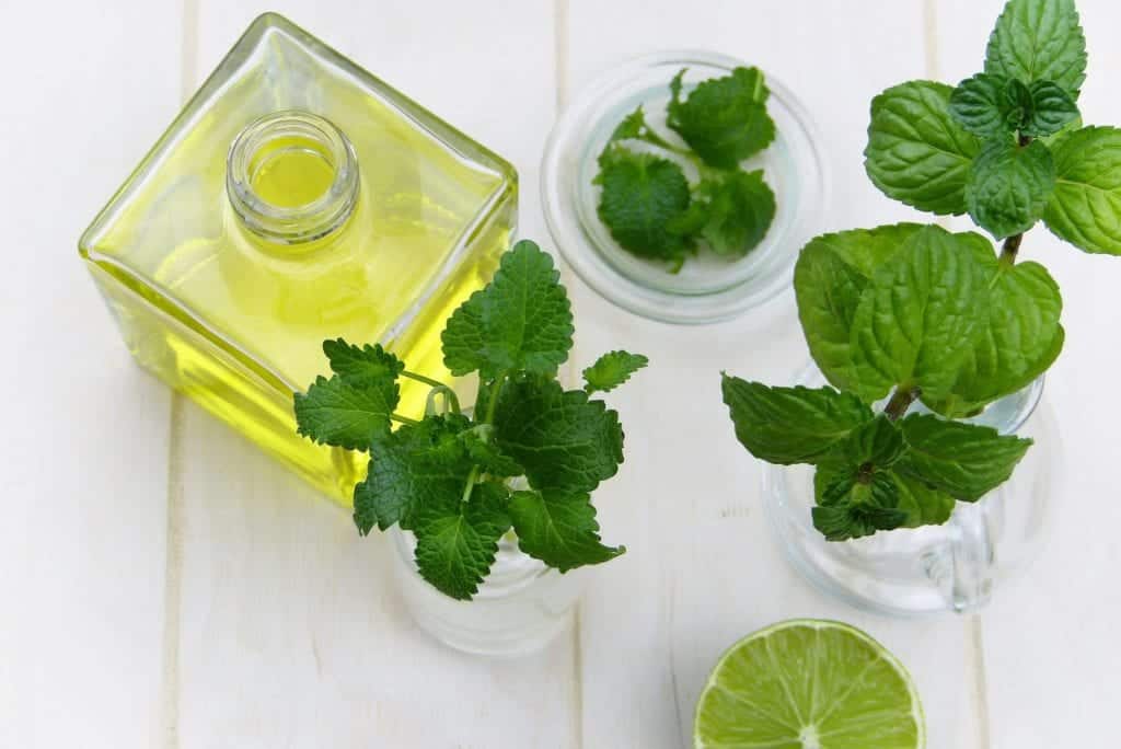 DIY Mouse Repellent