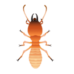 termites