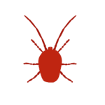 mites