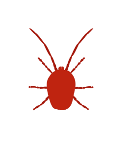 mites