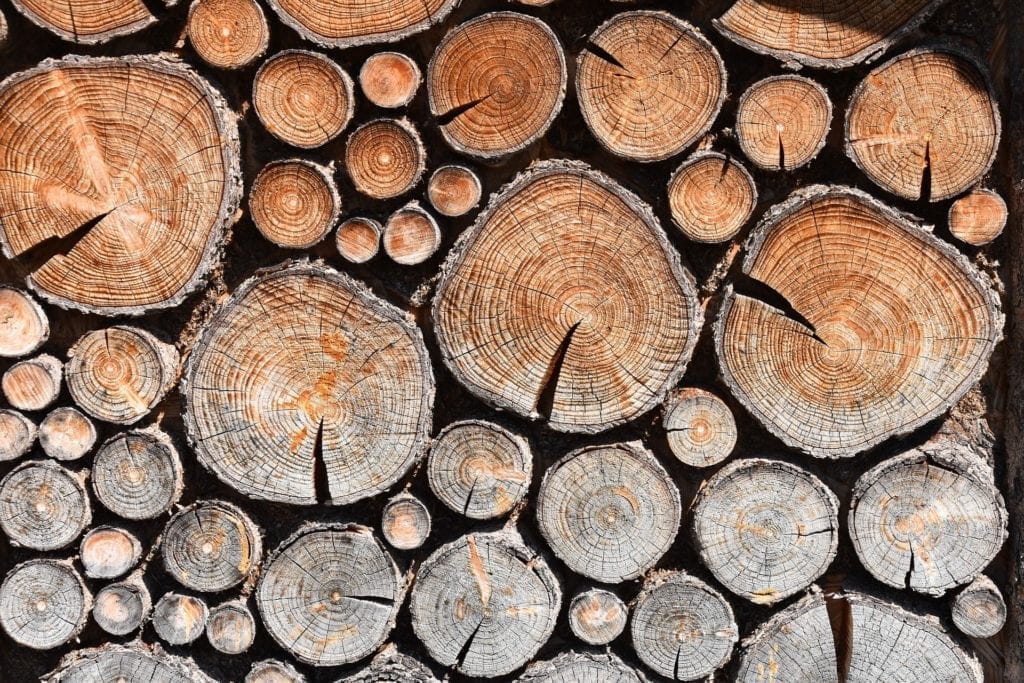 Firewood