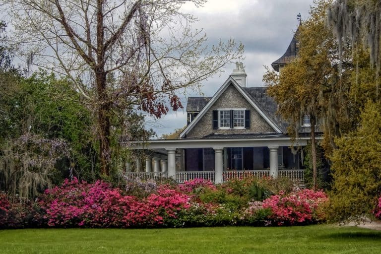 RESIDENTIAL PEST CONTROL IN CONNECTICUT AND MASSACHUSETTS