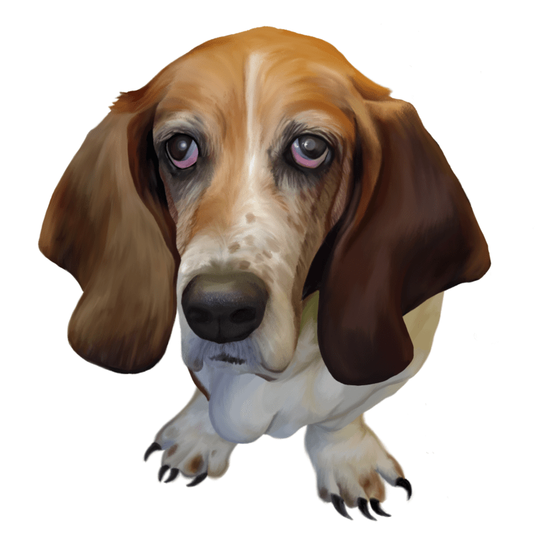 team richland - Charlie