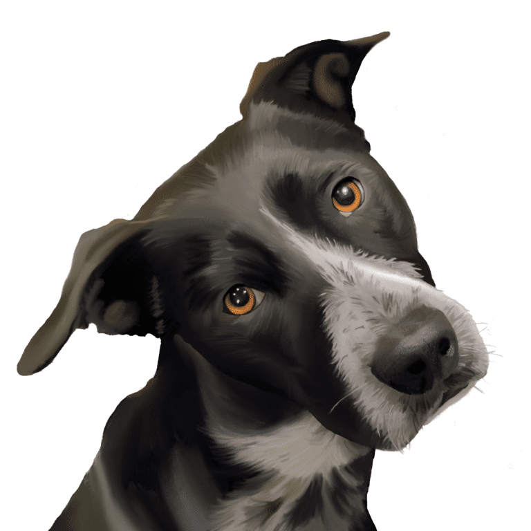 team richland - Steely