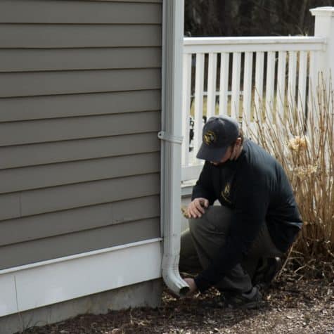natural pest control methods include consistent inspections and monitoring pest activity