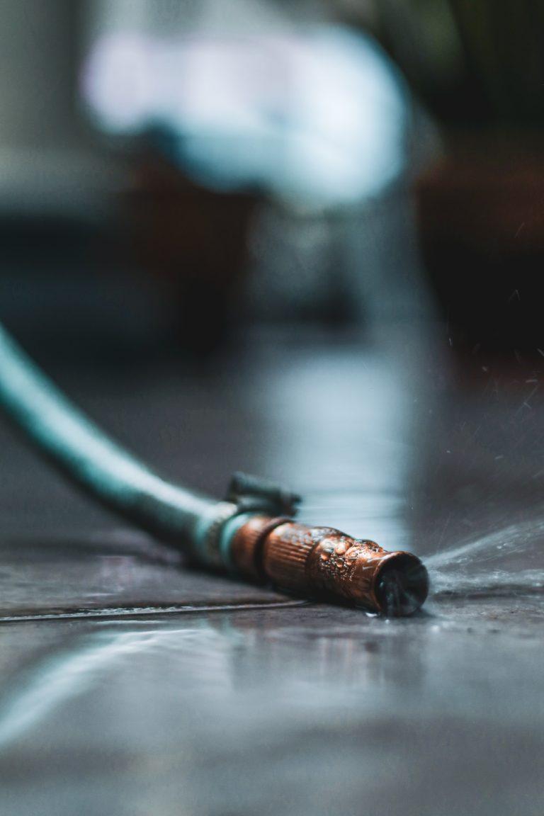 natural pest control methods include eliminating water sources for pests