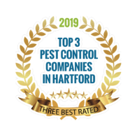 Top 3 geo-targeted pest control companies in Hartford.