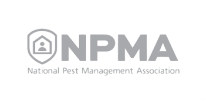 The national pest management association's geo-inspired logo.